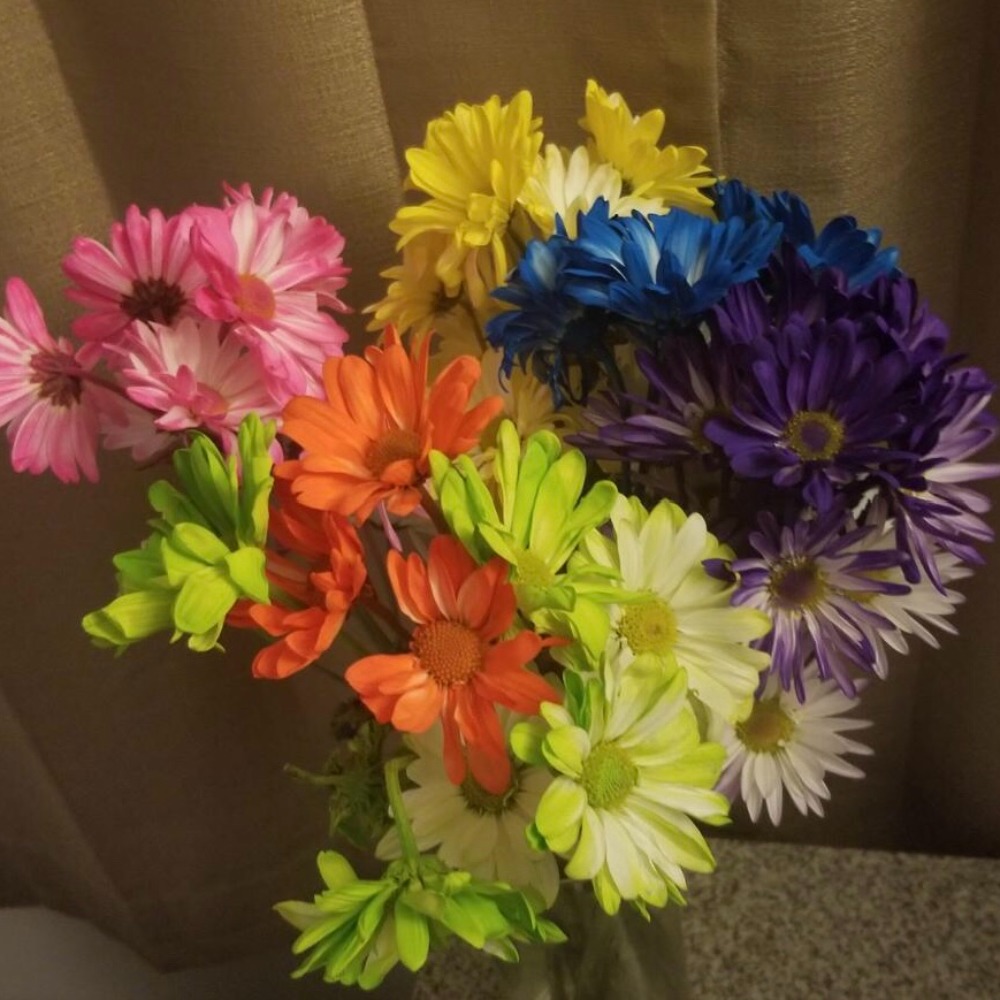 Meet your Posher, Devin